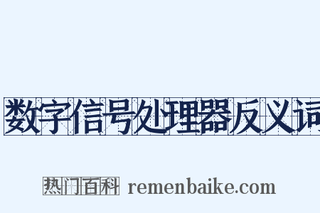 数字信号处理器反义词是什么意思的图片